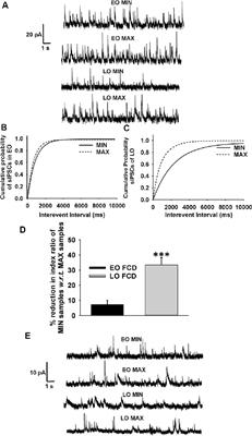 GABAA Receptor-Mediated Epileptogenicity in Focal Cortical Dysplasia (FCD) Depends on Age at Epilepsy Onset